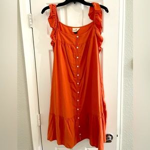 Adorable, whimsical, ruffle sleeve dress